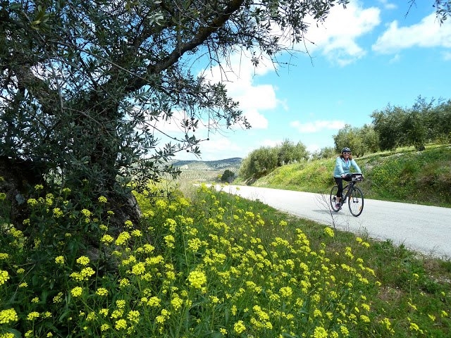 BTT por el campo